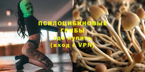 PSILOCYBIN Верхнеуральск